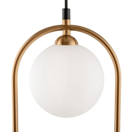 Maytoni MOD013PL-02BS - Πολύφωτο με συρματόσχοινο RING 2xG9/25W/230V χρυσαφί