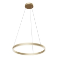 Maytoni MOD058PL-L32BS4K -  Κρεμαστό φωτιστικό οροφής LED RIM LED/37W/230V 4000K διάμετρος 60 cm χρυσό