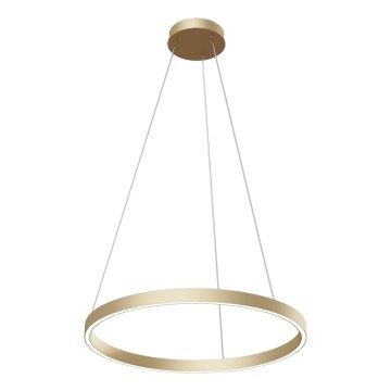 Maytoni MOD058PL-L32BS4K -  Κρεμαστό φωτιστικό οροφής LED RIM LED/37W/230V 4000K διάμετρος 60 cm χρυσό