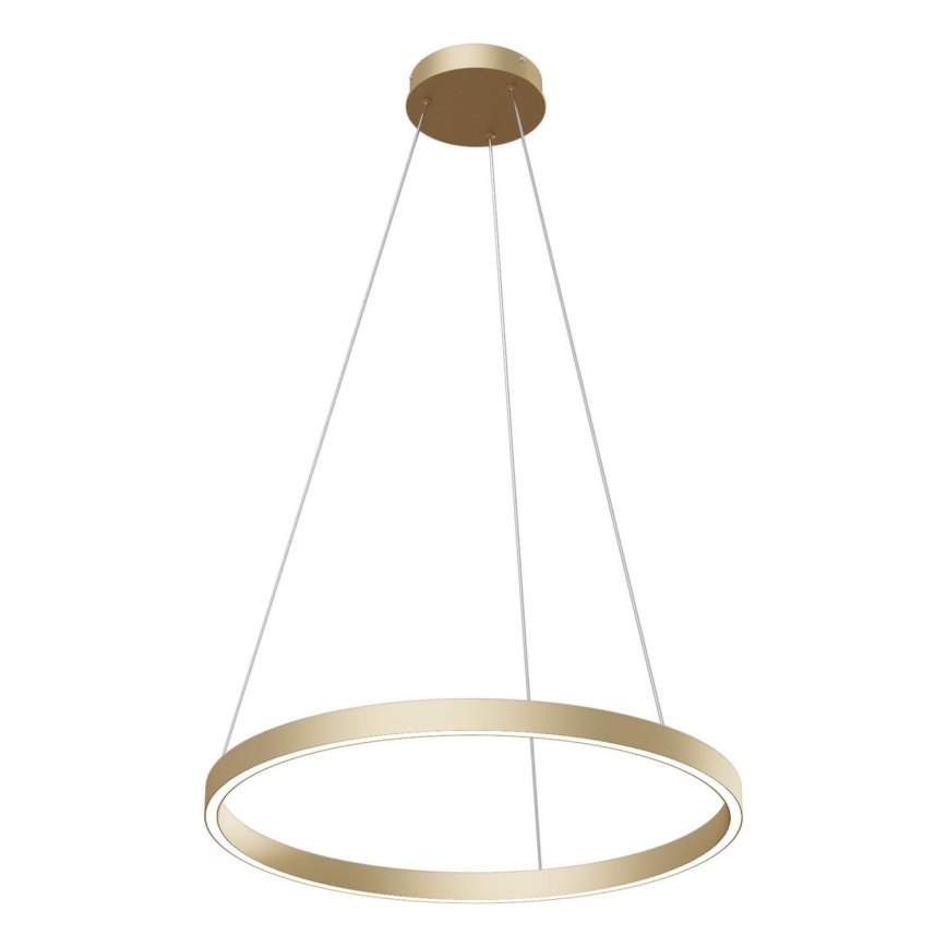 Maytoni MOD058PL-L32BS4K -  Κρεμαστό φωτιστικό οροφής LED RIM LED/37W/230V 4000K διάμετρος 60 cm χρυσό