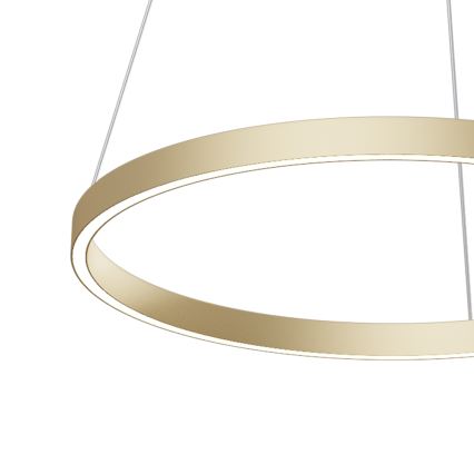 Maytoni MOD058PL-L32BS4K -  Κρεμαστό φωτιστικό οροφής LED RIM LED/37W/230V 4000K διάμετρος 60 cm χρυσό