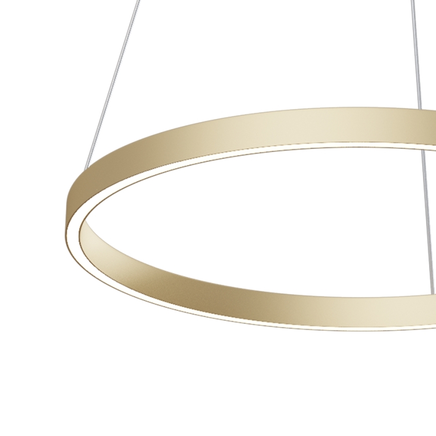 Maytoni MOD058PL-L32BS4K -  Κρεμαστό φωτιστικό οροφής LED RIM LED/37W/230V 4000K διάμετρος 60 cm χρυσό