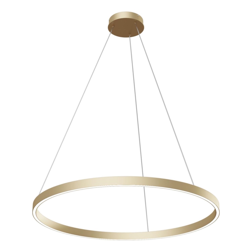 Maytoni MOD058PL-L42BS4K -  Κρεμαστό φωτιστικό οροφής LED RIM LED/51W/230V 4000K διάμετρος 80 cm χρυσό