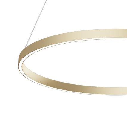 Maytoni MOD058PL-L42BS4K -  Κρεμαστό φωτιστικό οροφής LED RIM LED/51W/230V 4000K διάμετρος 80 cm χρυσό