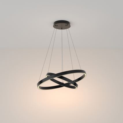 Maytoni MOD058PL-L55B3K -  Κρεμαστό φωτιστικό οροφής LED RIM LED/61W/230V 3000K διάμετρος 60 cm μαύρο