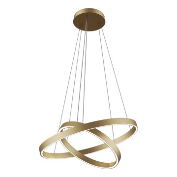 Maytoni MOD058PL-L55BS3K -  Κρεμαστό φωτιστικό οροφής LED RIM LED/61W/230V 3000K διάμετρος 60 cm χρυσό