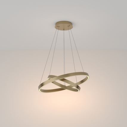 Maytoni MOD058PL-L55BS3K -  Κρεμαστό φωτιστικό οροφής LED RIM LED/61W/230V 3000K διάμετρος 60 cm χρυσό
