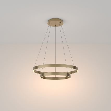 Maytoni MOD058PL-L55BS3K -  Κρεμαστό φωτιστικό οροφής LED RIM LED/61W/230V 3000K διάμετρος 60 cm χρυσό
