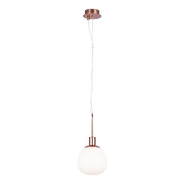 Maytoni MOD221-PL-01-G - Κρεμαστό φωτιστικό οροφής ERICH 1xE14/40W/230V χαλκός
