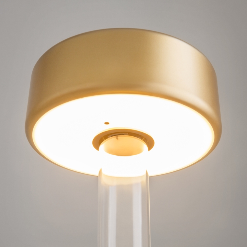 Maytoni MOD229TL-L3G3K1 - LED Dimming επαναφορτιζόμενο φορητό Επιτραπέζιο φωτιστικό LED/3W/5V 2200-4000K χρυσό/διαφανή