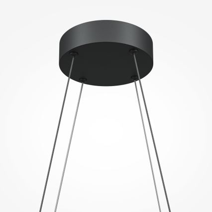 Maytoni MOD244PL-L50BK - Κρεμαστό φωτιστικό LED με καλώδιο HALO LED/40W/230V μαύρο