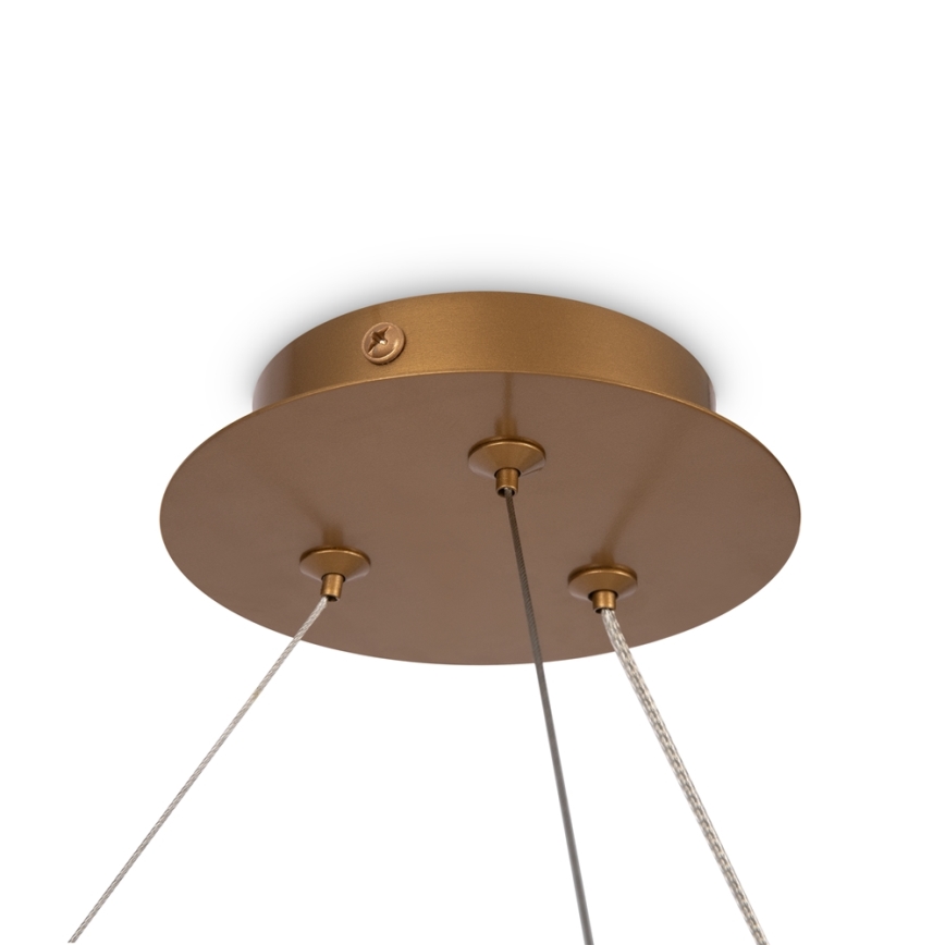 Maytoni MOD317PL-06G - Κρεμαστό φωτιστικό οροφής BALANCE 6xG9/40W/230V χαλκός