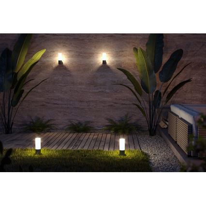 Maytoni O418FL-01B - Λάμπα εξωτερικού χώρου WILLIS 1xE27/60W/230V 30 cm IP54 μαύρο