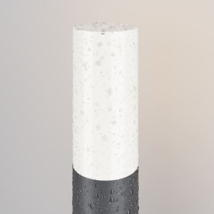 Maytoni O418FL-01GR - Λάμπα εξωτερικού χώρου WILLIS 1xE27/60W/230V 30 cm IP54 ανθρακί