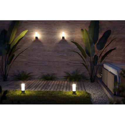 Maytoni O418WL-01B - Επιτοίχιο φωτιστικό εξωτερικού χώρου WILLIS 1xE27/60W/230V IP54 μαύρο