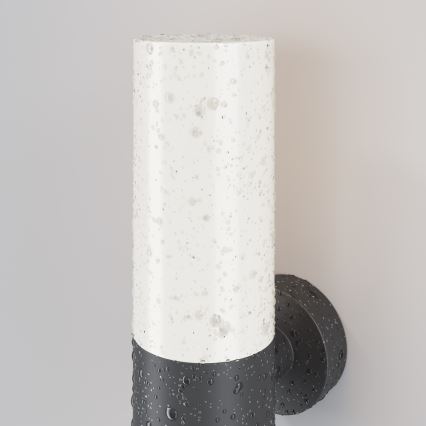 Maytoni O418WL-01GR - Επιτοίχιο φωτιστικό εξωτερικού χώρου WILLIS 1xE27/60W/230V IP54 ανθρακί