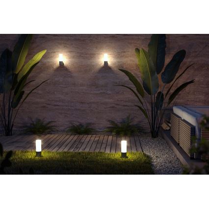 Maytoni O418WL-01GR - Επιτοίχιο φωτιστικό εξωτερικού χώρου WILLIS 1xE27/60W/230V IP54 ανθρακί