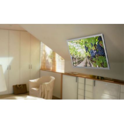 MK FLORIA MKF-20DM444 - Έξυπνη βάση τηλεόρασης οροφής 55" μαύρο Wi-Fi TUYA + τηλεχειριστήριο
