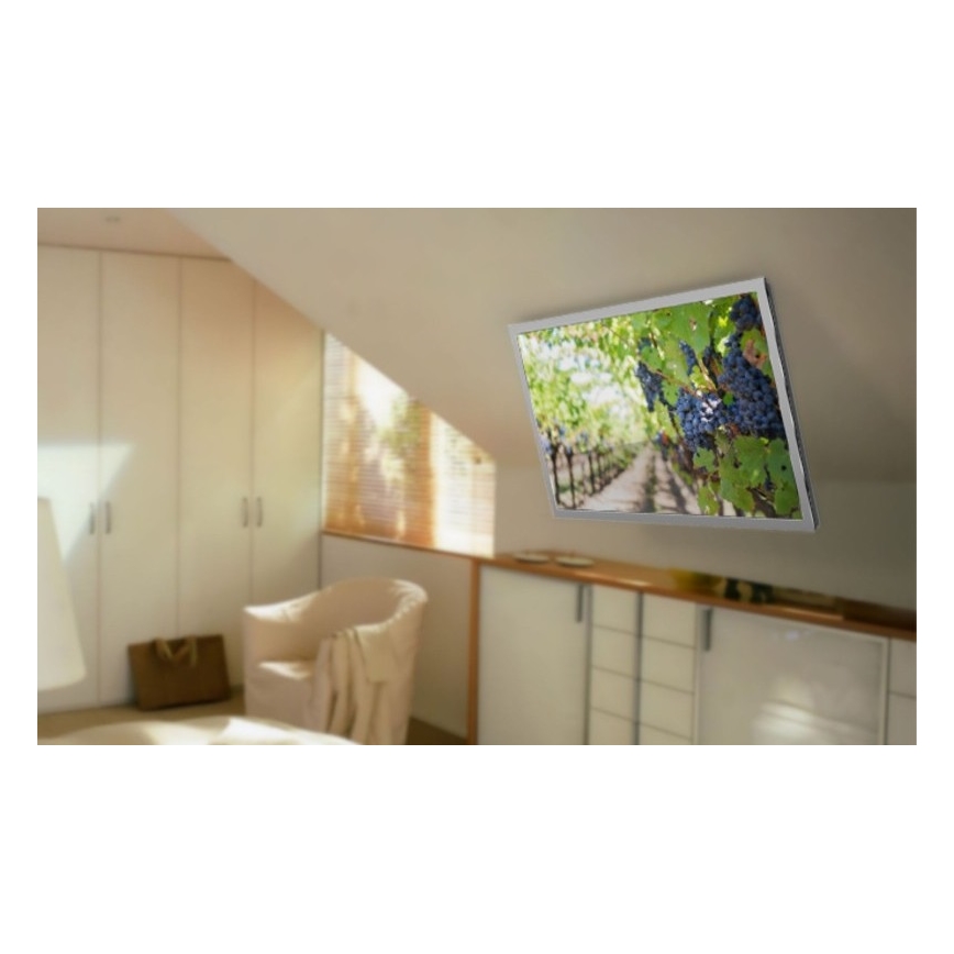 MK FLORIA MKF-20DM444 - Έξυπνη βάση τηλεόρασης οροφής 55" μαύρο Wi-Fi TUYA + τηλεχειριστήριο