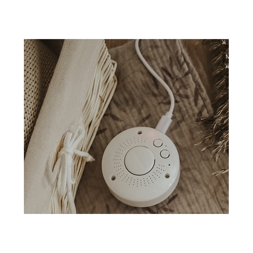 Moonie - Λούτρινο αρκουδάκι με ήχο και φως powder