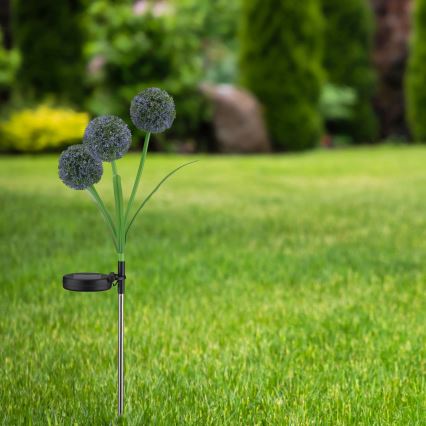 Ηλιακό φωτιστικό LED ALLIUM LED/1,2V 6500K 600 mAh IP44 μαύρο