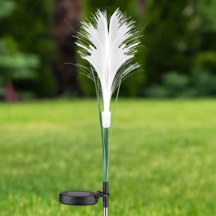 Ηλιακό φωτιστικό LED GRASS LED/1,2V 3000K 600 mAh IP44 μαύρο