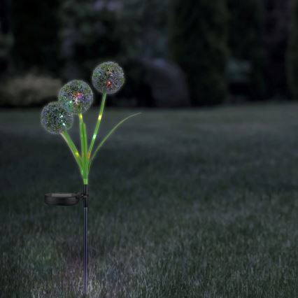 Ηλιακό φωτιστικό LED RGB ALLIUM LED/1,2V 6500 600 mAh IP44 μαύρο