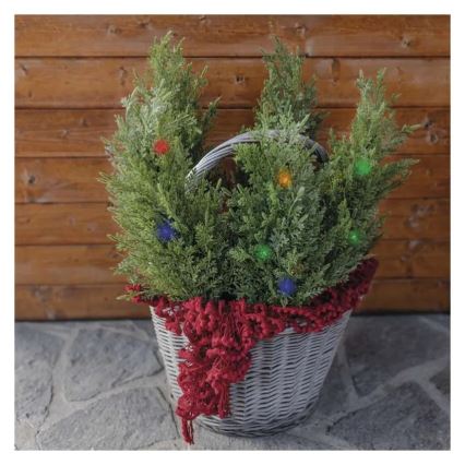 Ηλιακό διακοσμητικό LED 50xLED/3W/1,2V 600 mAh IP44