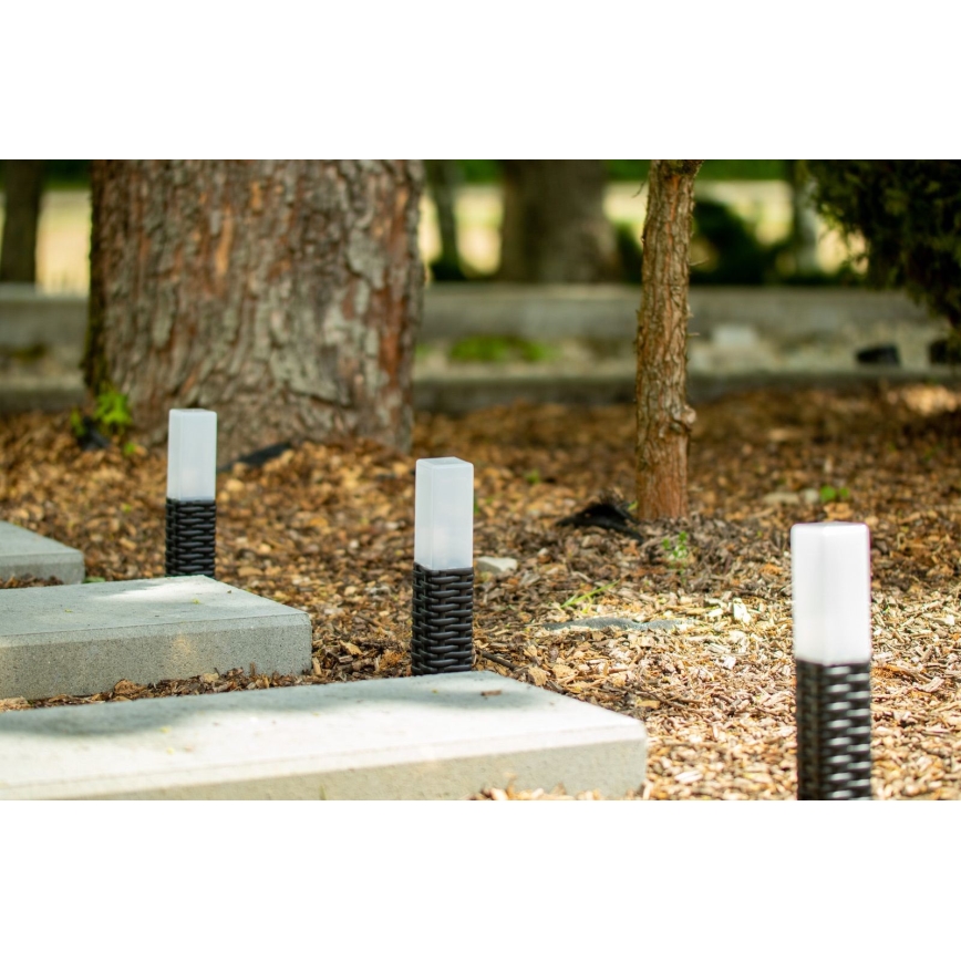 Ηλιακός LED Φωτισμός RABBIA LED/1,2V 300 mAh IP44