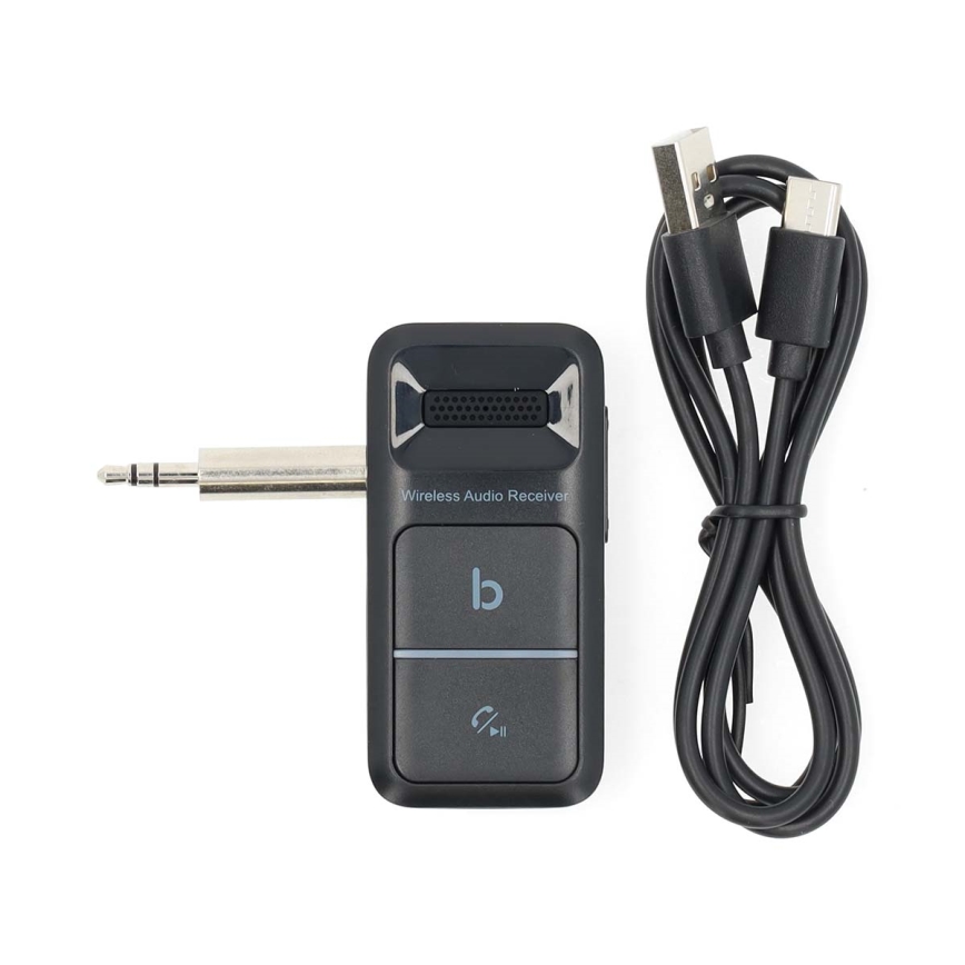Φορητός δέκτης Bluetooth AUX