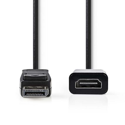 Καλώδιο HDMI με Βύσμα DisplayPort Plug - έξοδος HDMI 0.2 m