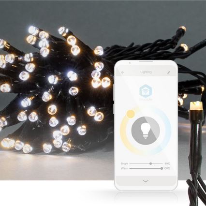 LED Χριστουγεννιάτικη γιρλάντα 50×LED/8 λειτουργίες 5 m IP65 Wi-Fi Tuya