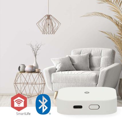 Έξυπνη πύλη SmartLife 5V Wi-Fi