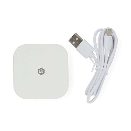 Έξυπνη πύλη SmartLife 5V Wi-Fi