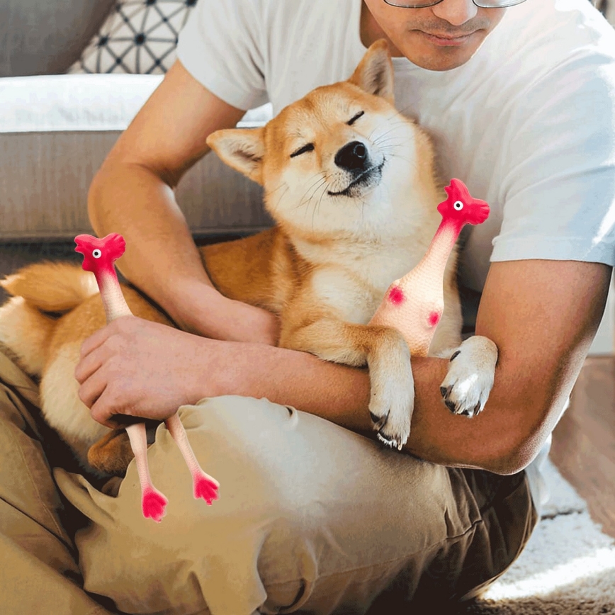 Nobleza - Παιχνίδι σκύλου κοτόπουλο