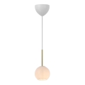 Nordlux - Κρεμαστό φωτιστικό FRANCA σε καλώδιο 1xE14/40W/230V λευκό