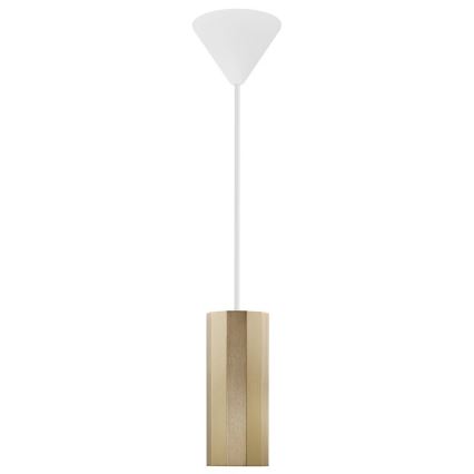 Nordlux - Κρεμαστό φωτιστικό με καλώδιο ALANIS 1xGU10/15W/230V