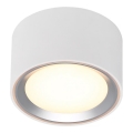 Nordlux - LED Dimmable φωτιστικό οροφής FALLON LED/5,5W/230V 2700K διάμετρος 10 cm λευκό