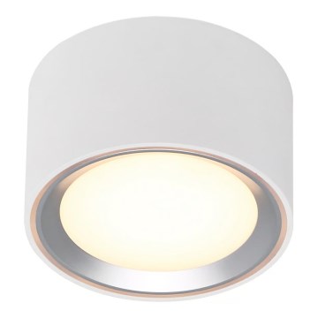 Nordlux - LED Dimmable φωτιστικό οροφής FALLON LED/5,5W/230V 2700K λευκό