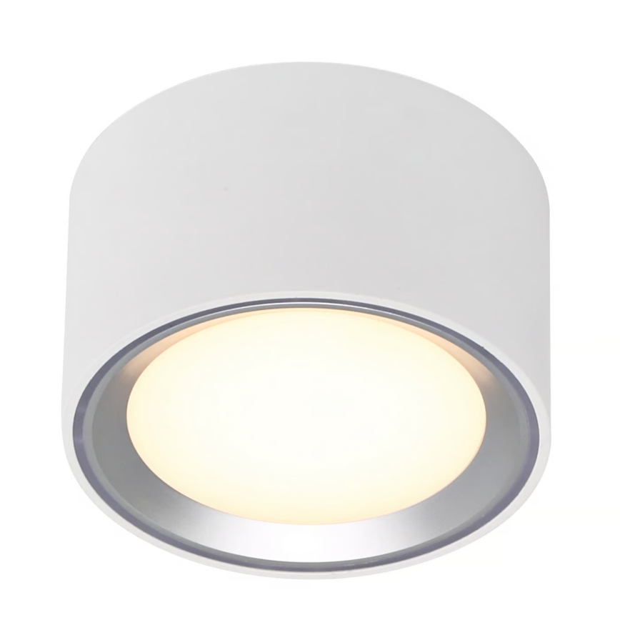 Nordlux - LED Dimmable φωτιστικό οροφής FALLON LED/5,5W/230V 2700K λευκό