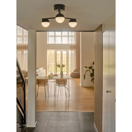 Nordlux - Πλαφονιέρα οροφής CONTINA 3xG9/5W/230V μαύρο