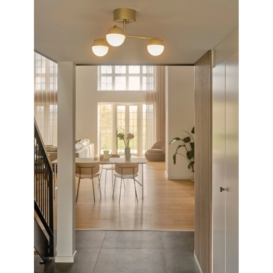 Nordlux - Πλαφονιέρα οροφής CONTINA 3xG9/5W/230V ορείχαλκος