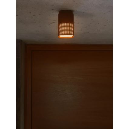 Nordlux - Εξωτερικό φωτιστικό οροφής SIDARA 1xE27/15W/230V IP54 καφέ