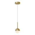 Nordlux - Κρεμαστό φωτιστικό με καλώδιο CONTINA 1xG9/5W/230V ορείχαλκος