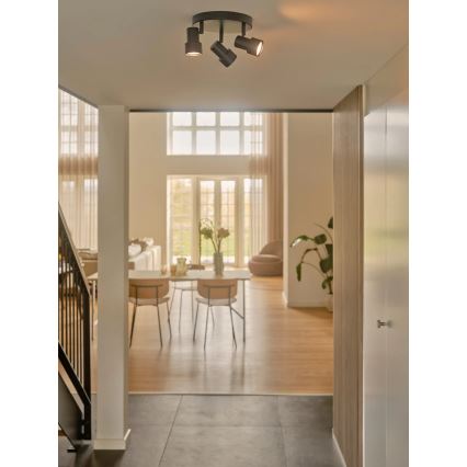 Nordlux - Φωτιστικό σποτ BOSTON 3xGU10/5W/230V