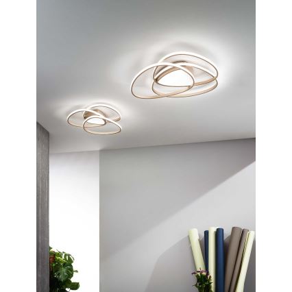 Ondaluce - LED Ρυθμιζόμενο φωτιστικό οροφής ROSE LED/80W/230V 71x76 cm χρυσό