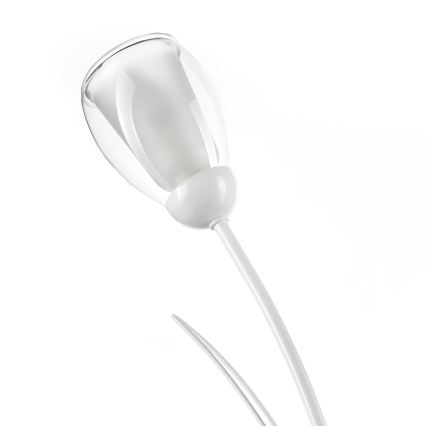 ONLI - Eπιτραπέζια λάμπα ANTEA 2xE14/6W/230V 60 cm