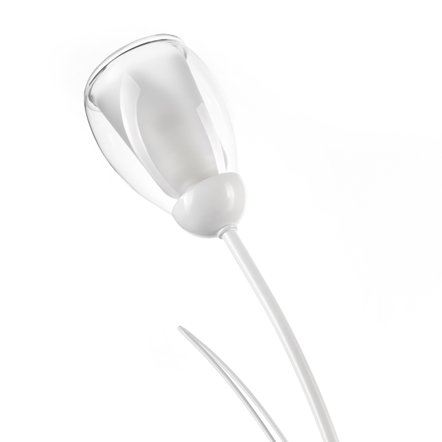 ONLI - Eπιτραπέζια λάμπα ANTEA 2xE14/6W/230V 60 cm