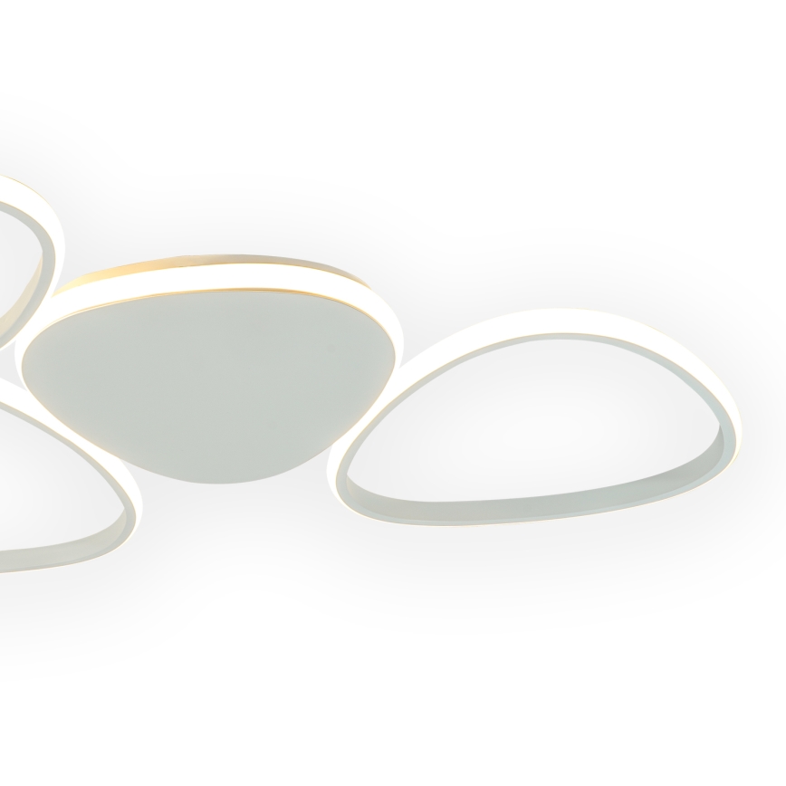 ONLI - Φωτιστικό οροφής LED ROMEO LED/48W/230V 4000K λευκό