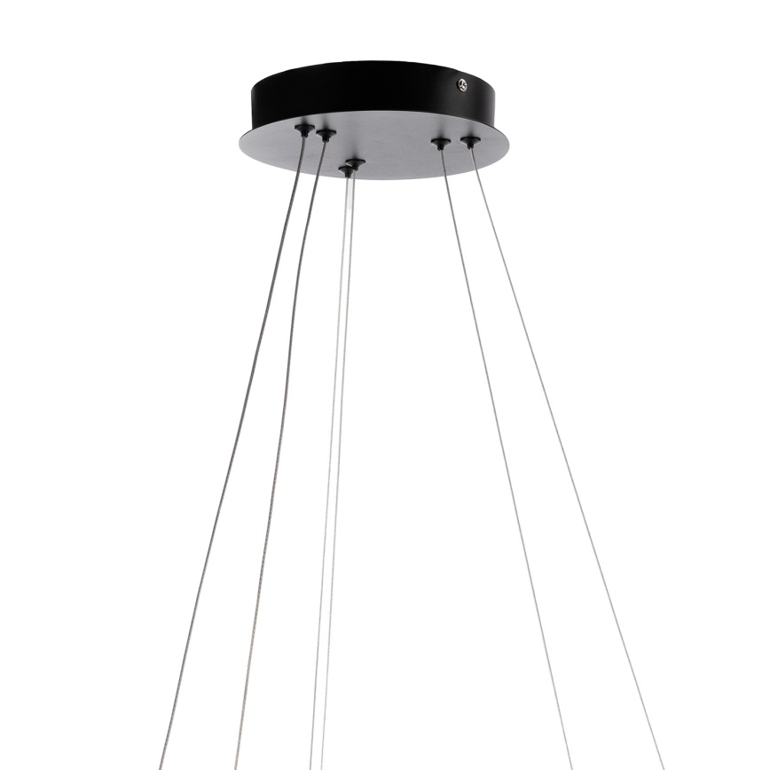 ONLI - Κρεμαστό LED φωτιστικό με καλώδιο NOELIA LED/30W/230V μαύρο